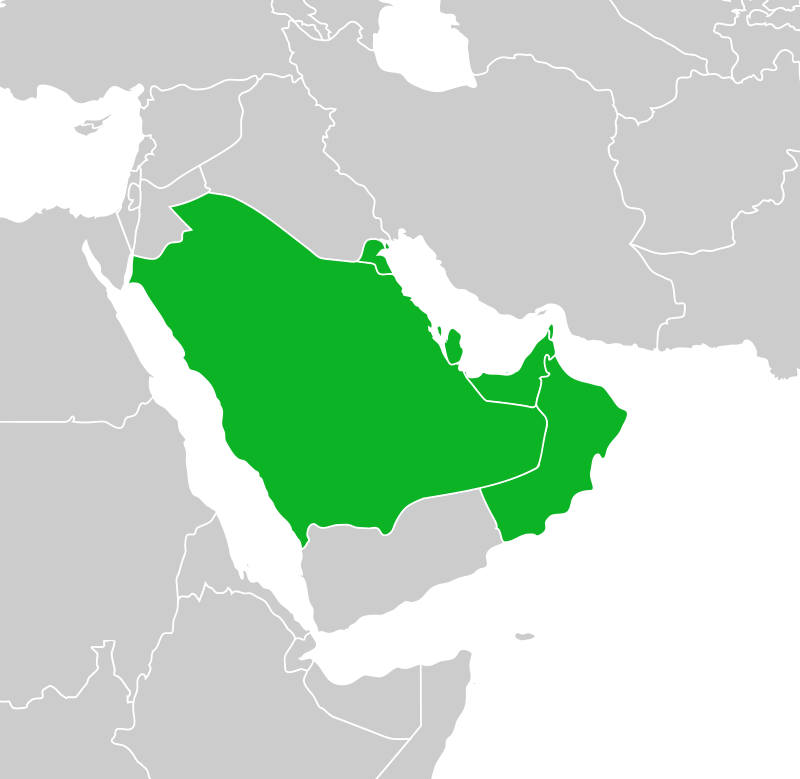 سياسات منطقة الخليج ووعي أجياله